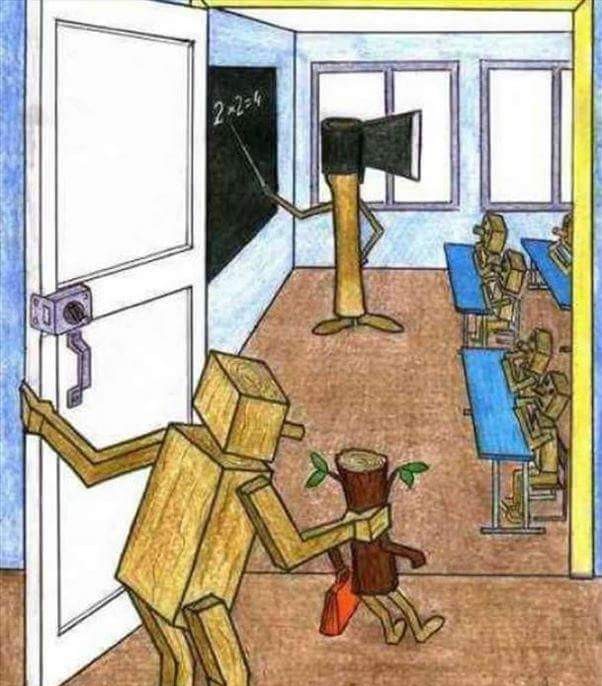 12662421_935752806492869_2817166306213922937_n[1]