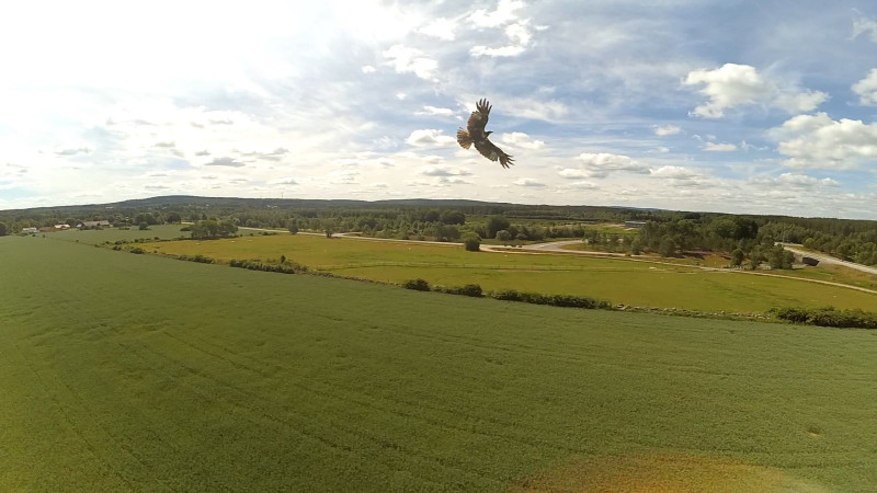 13585060_10153816626701819_1902976103547688819_o