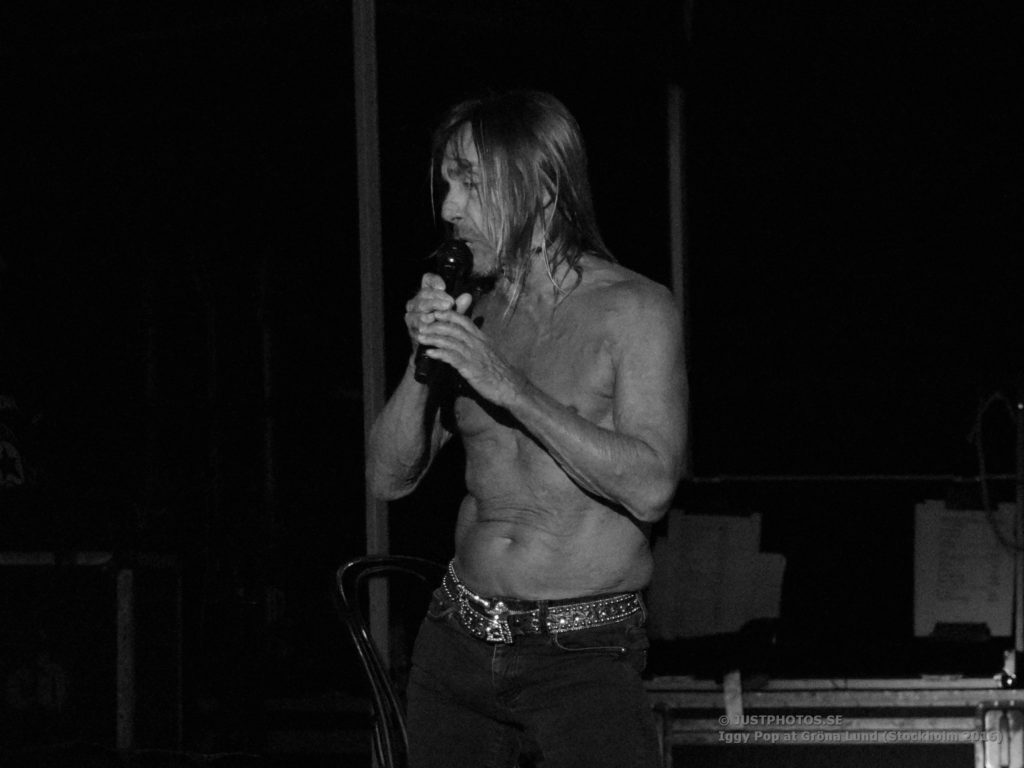 Iggy Pop concert 2016 in Stockholm6