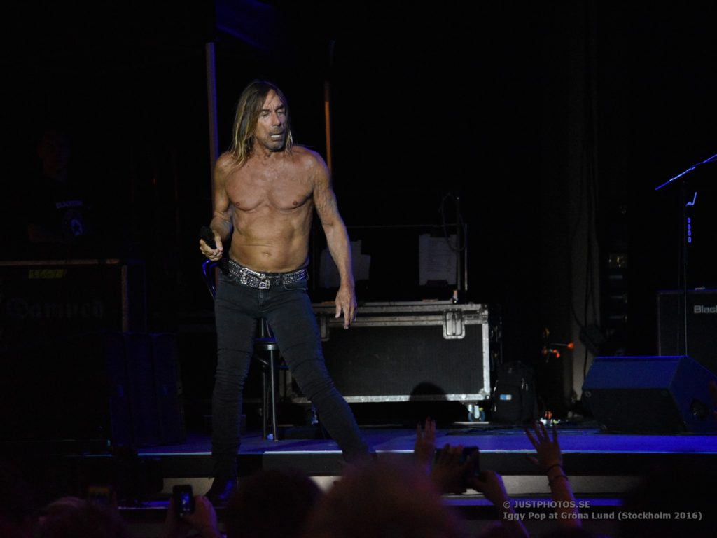 Iggy Pop concert 2016 in Stockholm7