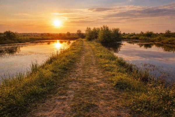 Пруды. Солнце на закате над прудами. Рыбхоз. Запретки.